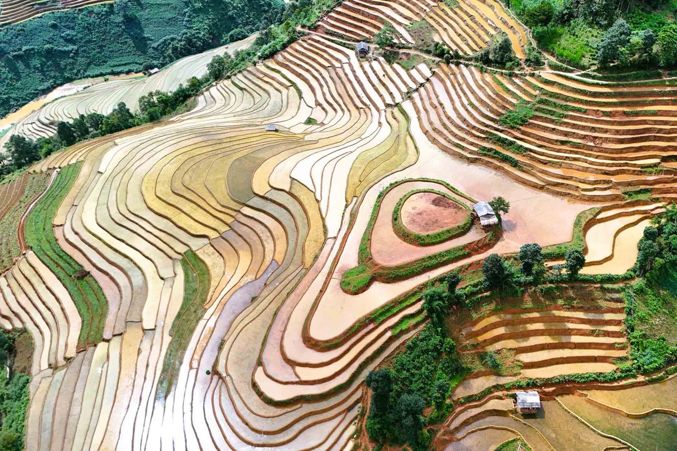 Ruộng lúa 'hai trái tim' ở Mù Cang Chải