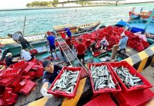 Việt Nam – Malaysia thiết lập cơ chế trao đổi thông tin xử lý tàu cá vi phạm