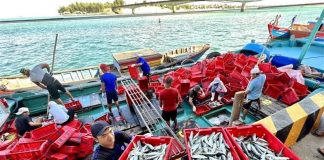 Việt Nam – Malaysia thiết lập cơ chế trao đổi thông tin xử lý tàu cá vi phạm