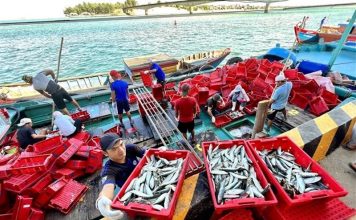 Việt Nam – Malaysia thiết lập cơ chế trao đổi thông tin xử lý tàu cá vi phạm