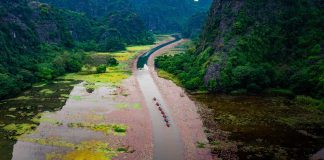 Hoa súng ‘nhuộm hồng’ sông Ngô Đồng ở Ninh Bình