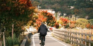 Sắc thu thanh bình bên hồ Yamanaka dưới chân núi Phú Sĩ