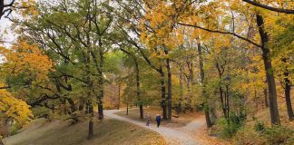 Sắc thu vàng Praha