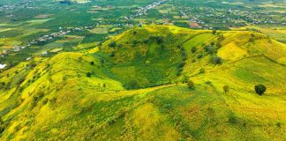 Sắp diễn ra tuần lễ hoa dã quỳ tại núi lửa Chư Đăng Ya