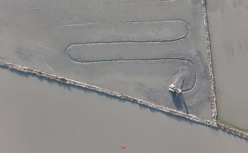 Nước rút trên đồng, nông dân Mỹ Quý vào vụ lúa Đông Xuân