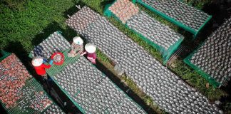 Người xứ Quảng trên đất Tân Hồng