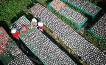 Người xứ Quảng trên đất Tân Hồng