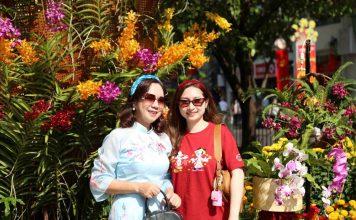 Tour Tết Nguyên đán ‘nóng’ sớm, nhiều doanh nghiệp gần kín chỗ