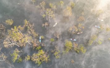 Suối Tía thức giấc trong làn sương mỏng