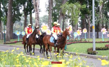 Hội hoa xuân Tao Đàn rực rỡ mở màn, đêm nào cũng có diễu hành