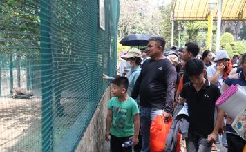 Suối Tiên, Thảo Cầm Viên, Dinh Độc Lập… hút khách dịp Tết