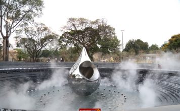 Hoa xuân khoe sắc ở công viên Lý Thái Tổ, giọt nước giữa lòng hồ