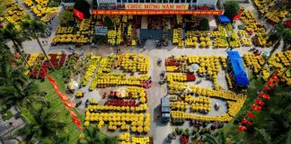 Sắc xuân tại Huế nhìn từ trên cao