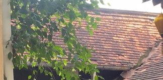 Thị trường chụp ảnh Tết: ‘ăn nhau’ ở cách nắm bắt xu hướng