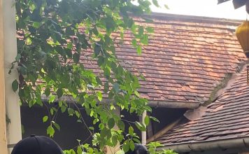 Thị trường chụp ảnh Tết: ‘ăn nhau’ ở cách nắm bắt xu hướng