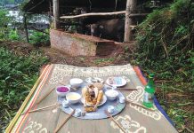 Giữ hồn quê trong cơn sốt du lịch nông thôn