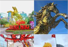 Linh vật ngựa Bính Ngọ: những điểm nhấn thị giác mùa Tết