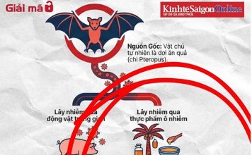 Virus Nipah là gì mà khiến thế giới lo ngại sau Covid-19?