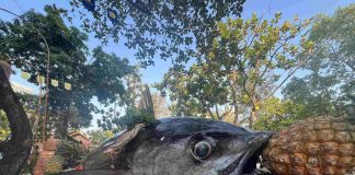 500 món ăn đặc sản ba miền hội tụ tại lễ hội ẩm thực ở TPHCM