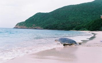 TPHCM đặt mục tiêu xây dựng Côn Đảo thành trung tâm bảo tồn đa dạng sinh học biển đảo